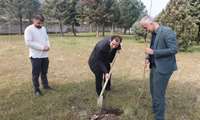 به مناسبت هفته درختکاری در دانشکده شرق گیلان لنگرود۲۵۰ اصله نهال در محوطه اداری و خوابگاه دانشجویی غرس شد