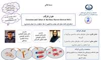 اطلاعیه کارگاه عملی استخراج سلولهای بنیادی مزانشیمی 