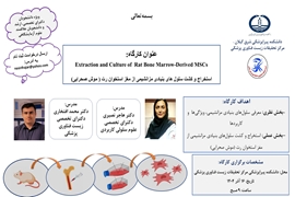 اطلاعیه کارگاه عملی استخراج سلولهای بنیادی مزانشیمی 
